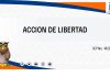 Procedencia de la acción de libertad respecto de actos contra personas de prioritaria atención y trato diferente. La necesaria aplicación del principio favor debilis