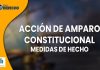 Las vías de hecho. Finalidad de la tutela constitucional, definición y presupuestos de activación