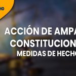 Las vías de hecho. Finalidad de la tutela constitucional, definición y presupuestos de activación