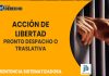 La acción de libertad traslativa o de pronto despacho y el plazo para la remisión de antecedentes ante el Tribunal de alzada, frente a un recurso de apelación incidental de medidas cautelares