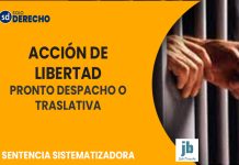 La acción de libertad traslativa o de pronto despacho y el plazo para la remisión de antecedentes ante el Tribunal de alzada, frente a un recurso de apelación incidental de medidas cautelares