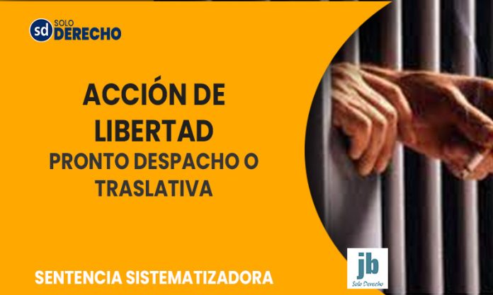 apelación incidental - accion de libertad pronto despacho