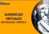 Realización de audiencias virtuales en materia penal