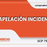 El recurso de apelación incidental en materia penal