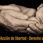 Naturaleza jurídica de la acción de libertad y presupuestos de activación cuando se invoca lesión, amenaza o riesgo del derecho a la vida. Jurisprudencia reiterada