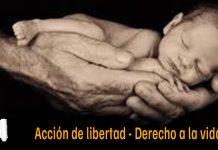 Naturaleza jurídica de la acción de libertad y presupuestos de activación cuando se invoca lesión, amenaza o riesgo del derecho a la vida. Jurisprudencia reiterada