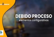 Elementos configurativos de la garantía del debido proceso
