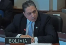 Héctor Arce dejó el puesto de embajador de Bolivia en la OEA el 8 de noviembre