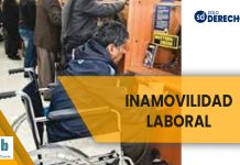 Sobre la exigencia del Carnet de Discapacidad para la tutela de la garantía de inamovilidad laboral