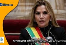 Vea el Auto Supremo que dispone la ABSOLUCIÓN de la expresidenta Jeanine Añez por el delito de Resoluciones Contrarias a la Constitución y las leyes
