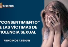 Principios de la prueba en casos de violencia sexual