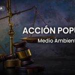 El medio ambiente como fin y función esencial del Estado; y, como derecho objeto de protección de la acción popular