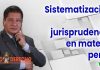 Sistematización de jurisprudencia en materia penal