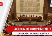 Naturaleza jurídica y objeto de la acción de cumplimiento