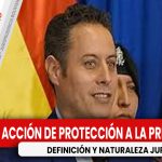 Naturaleza jurídica y alcances de la acción de protección de privacidad