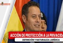 Naturaleza jurídica y alcances de la acción de protección de privacidad