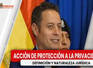 Naturaleza jurídica y alcances de la acción de protección de privacidad