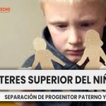 La separación de un menor del núcleo familiar, en el marco del interés superior