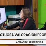 La carga procesal que tiene la parte apelante ante la denuncia de defectuosa valoración probatoria