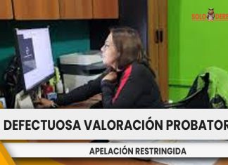La carga procesal que tiene la parte apelante ante la denuncia de defectuosa valoración probatoria