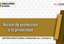 Sobre el carácter subsidiario de la acción de protección de privacidad: alcance y aplicación en entornos digitales