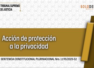 Sobre el carácter subsidiario de la acción de protección de privacidad: alcance y aplicación en entornos digitales