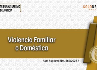 Análisis del delito de Violencia Familiar o Doméstica